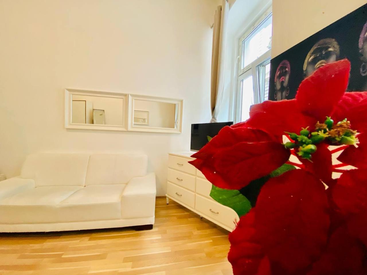 Апартаменты Cozy Studio Lg Вена Экстерьер фото